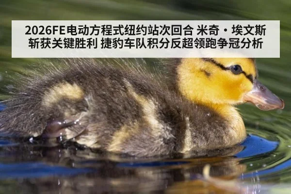 2026FE电动方程式纽约站次回合 米奇·埃文斯斩获关键胜利 捷豹车队积分反超领跑争冠分析