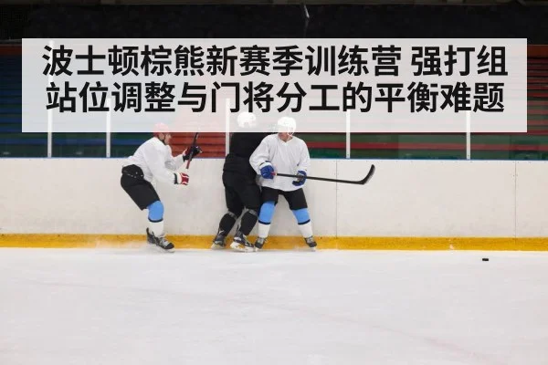 波士顿棕熊新赛季训练营 强打组站位调整与门将分工的平衡难题